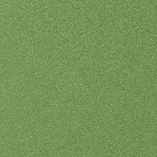 Thibaut Salta Kiwi Fabric