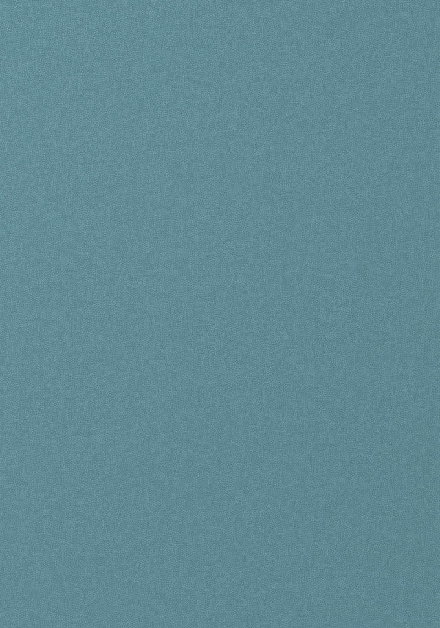 Thibaut Salta Surf Fabric