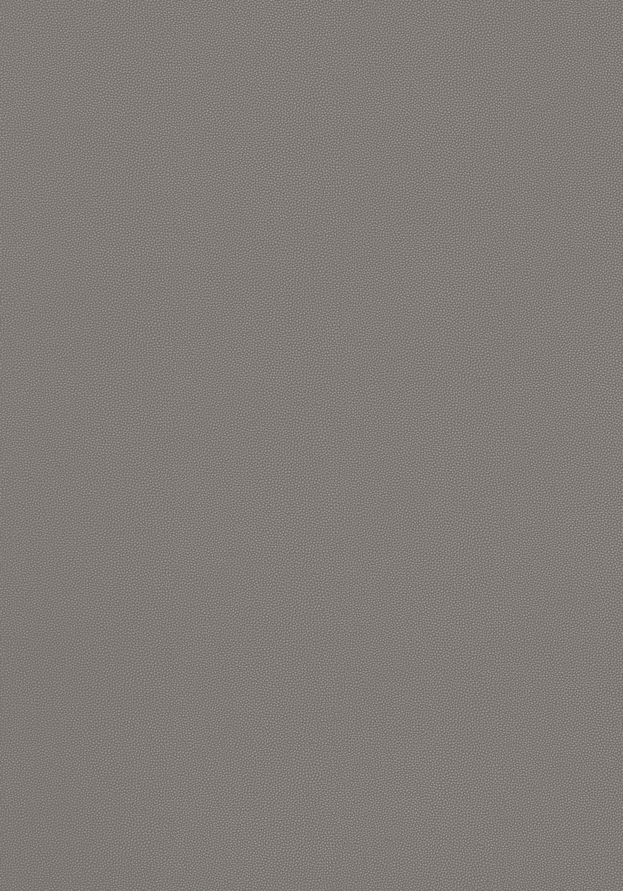 Thibaut Salta Ash Fabric