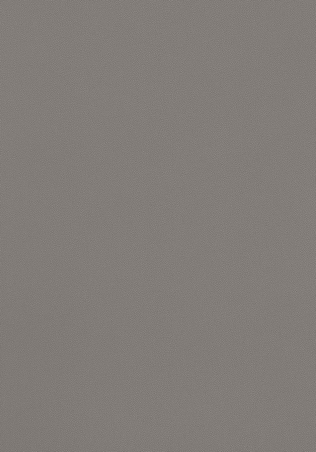 Thibaut Salta Ash Fabric