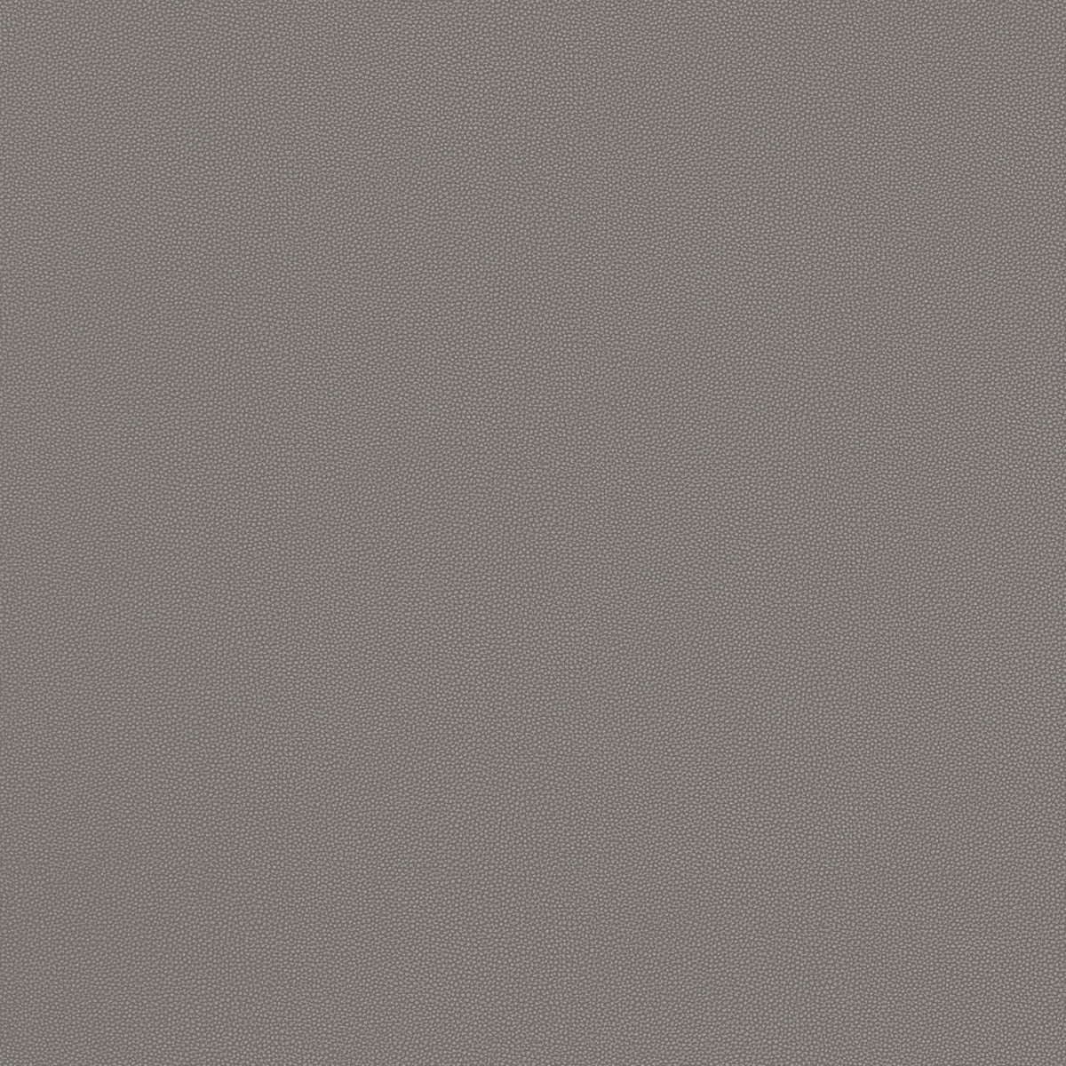 Thibaut Salta Ash Fabric