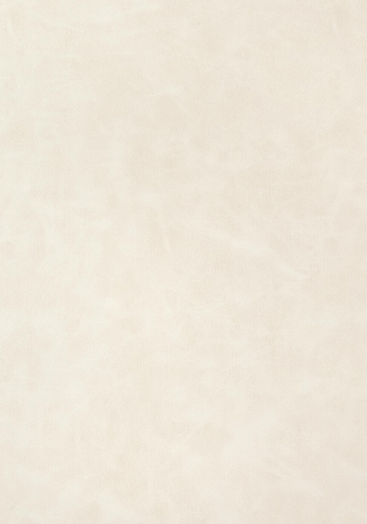 Thibaut Cabretta Almond Fabric