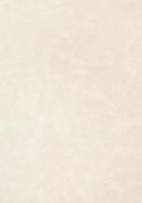 Thibaut Cabretta Almond Fabric