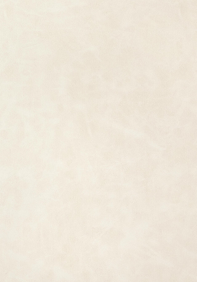 Thibaut Cabretta Almond Fabric