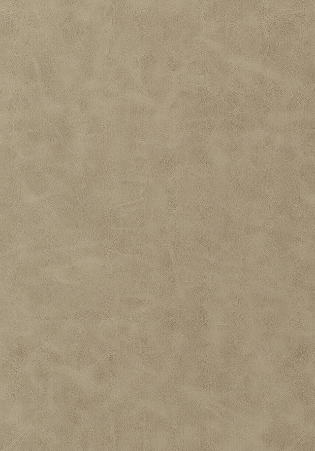 Thibaut Cabretta Latte Fabric