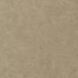 Thibaut Cabretta Latte Fabric