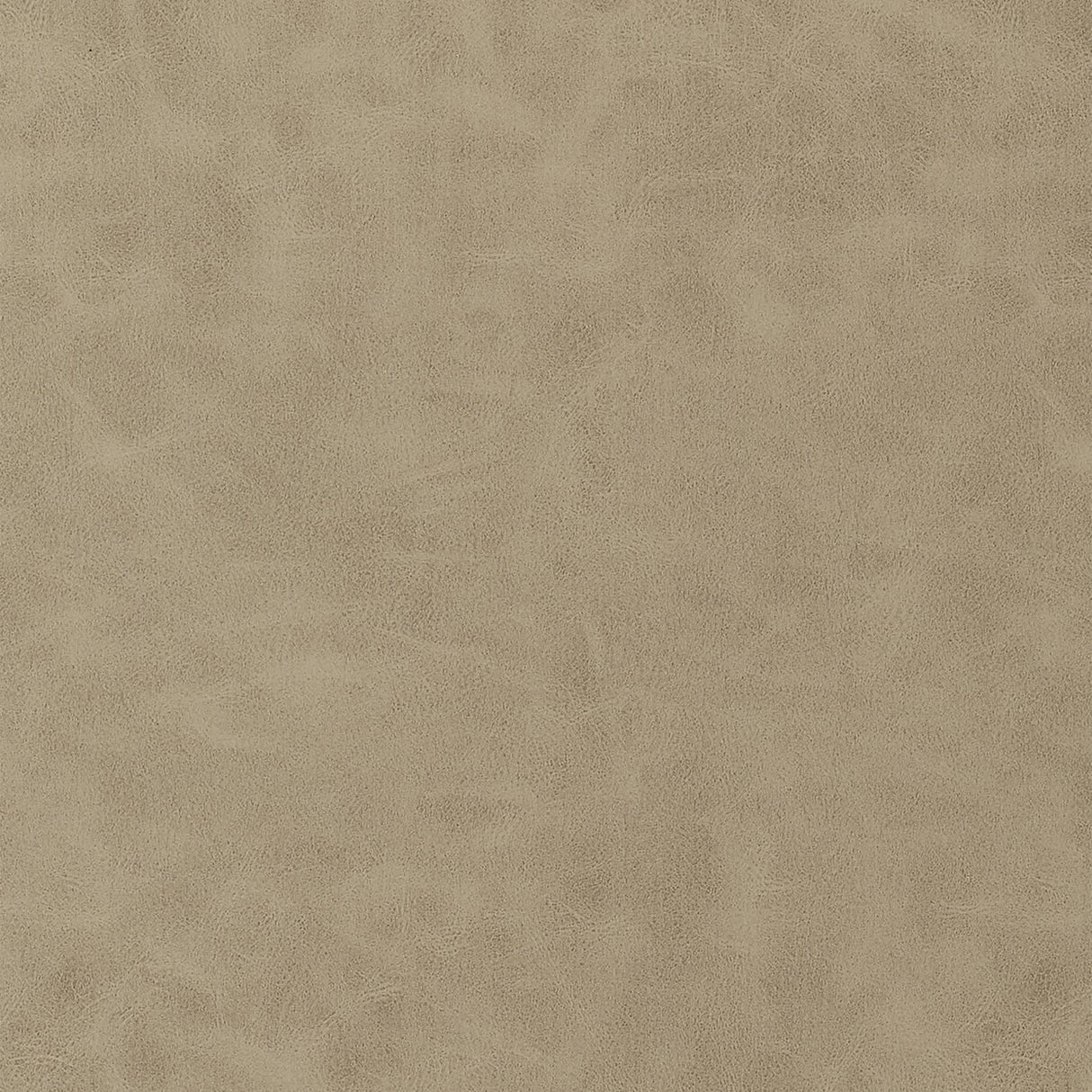 Thibaut Cabretta Latte Fabric