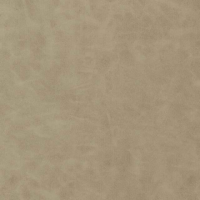 Thibaut Cabretta Latte Fabric