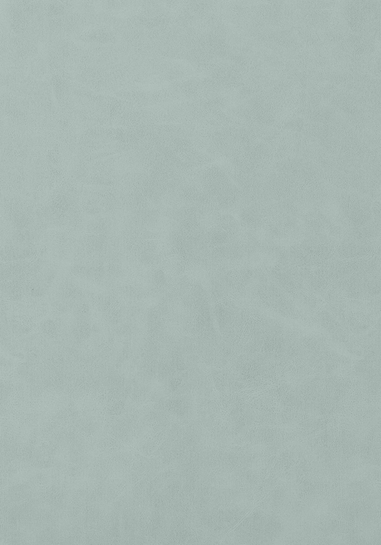 Thibaut Cabretta Cloud Fabric