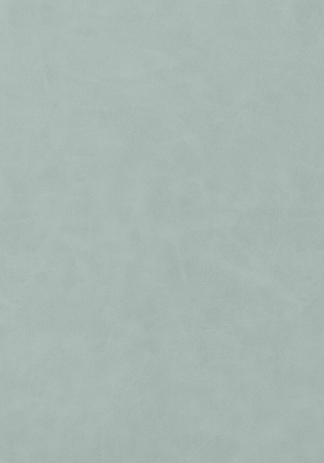 Thibaut Cabretta Cloud Fabric