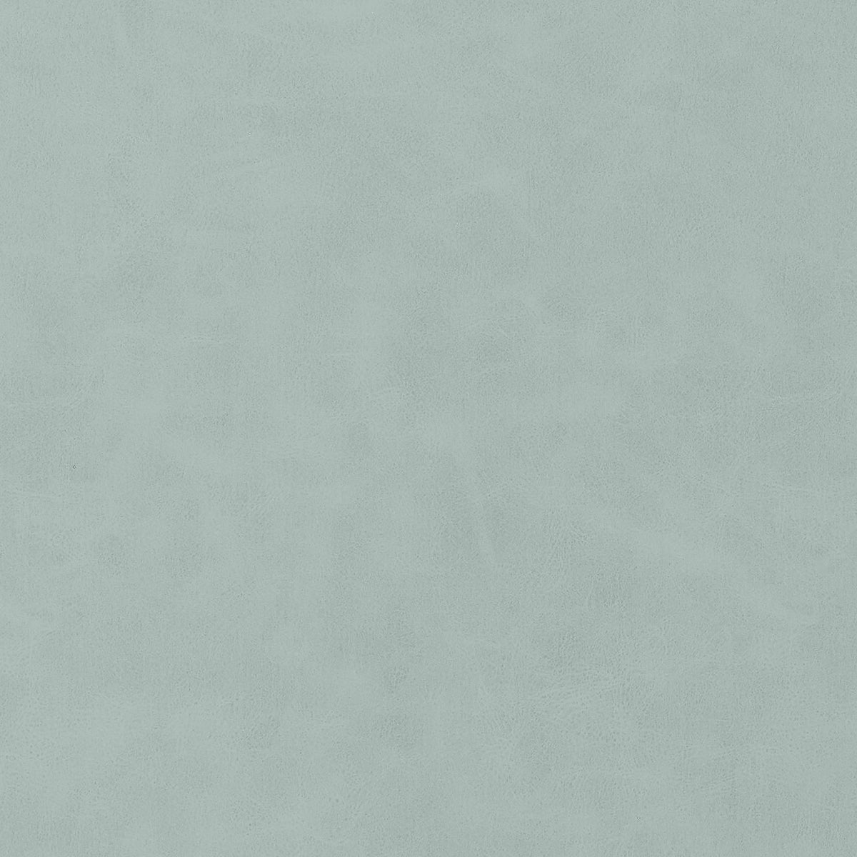 Thibaut Cabretta Cloud Fabric