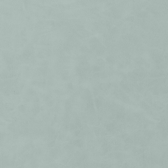 Thibaut Cabretta Cloud Fabric