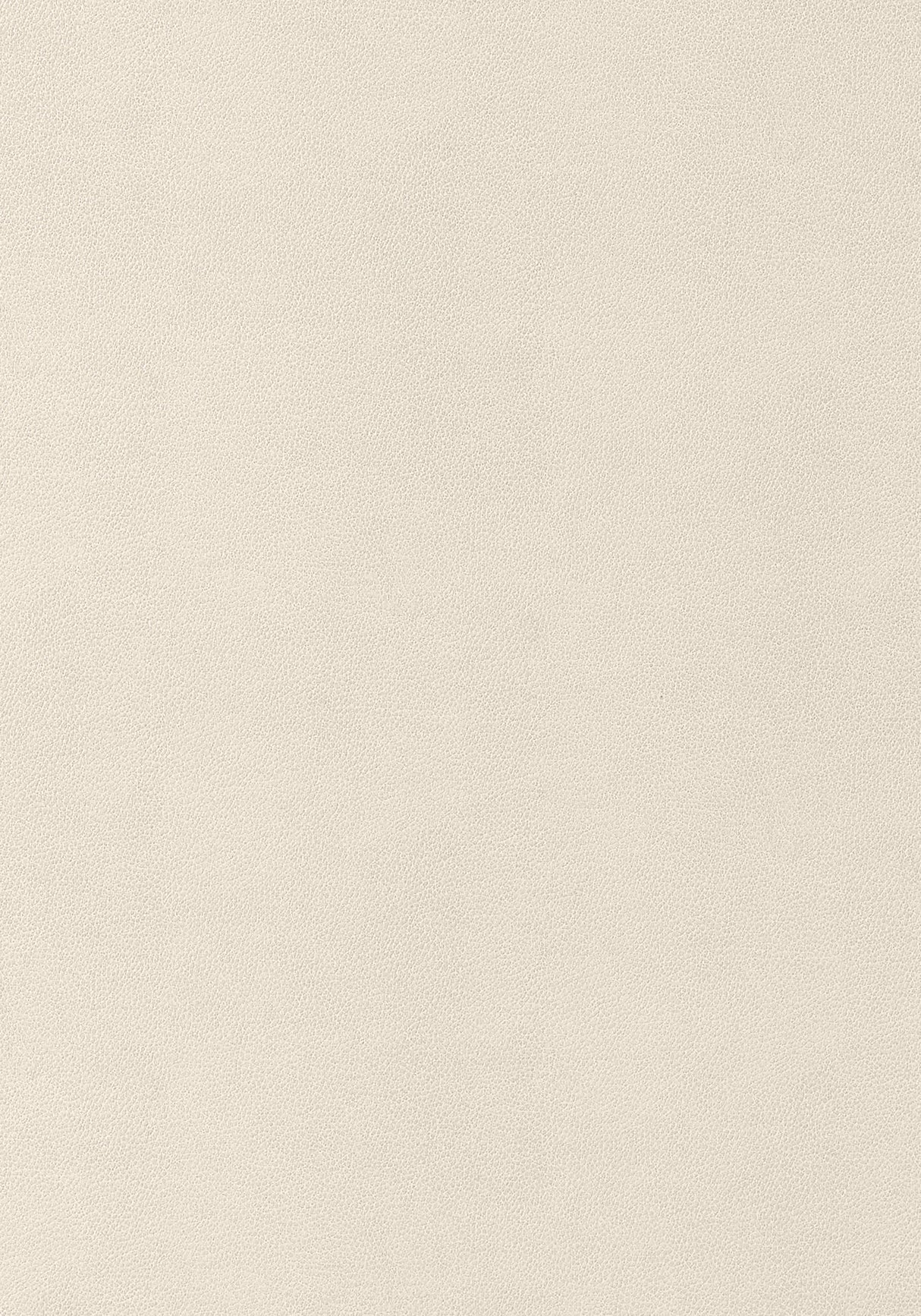 Thibaut Gaucho Ecru Fabric