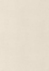 Thibaut Gaucho Ecru Fabric