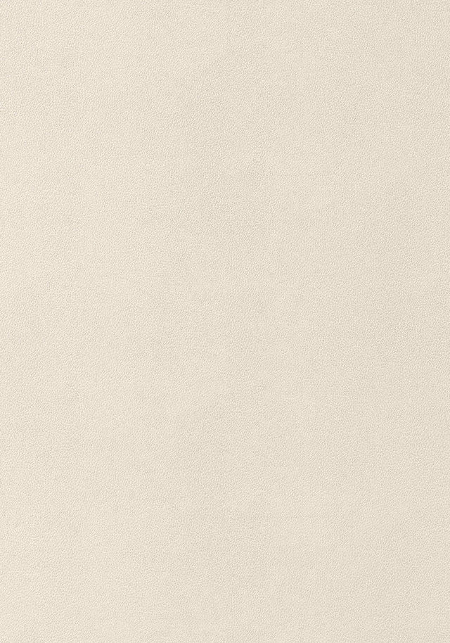 Thibaut Gaucho Ecru Fabric