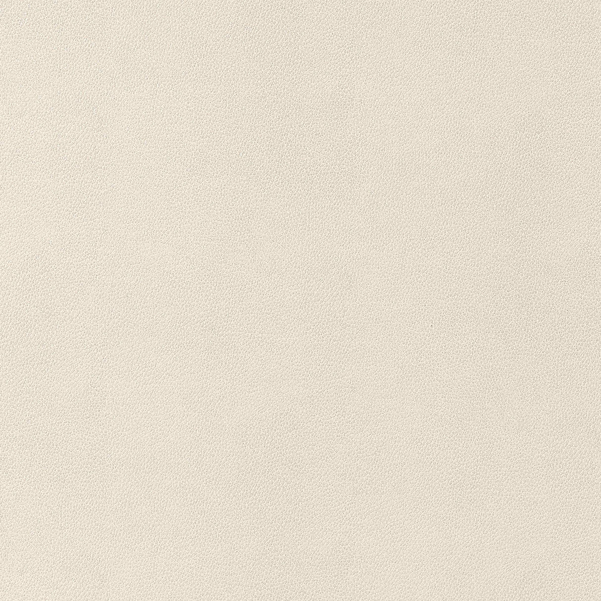 Thibaut Gaucho Ecru Fabric