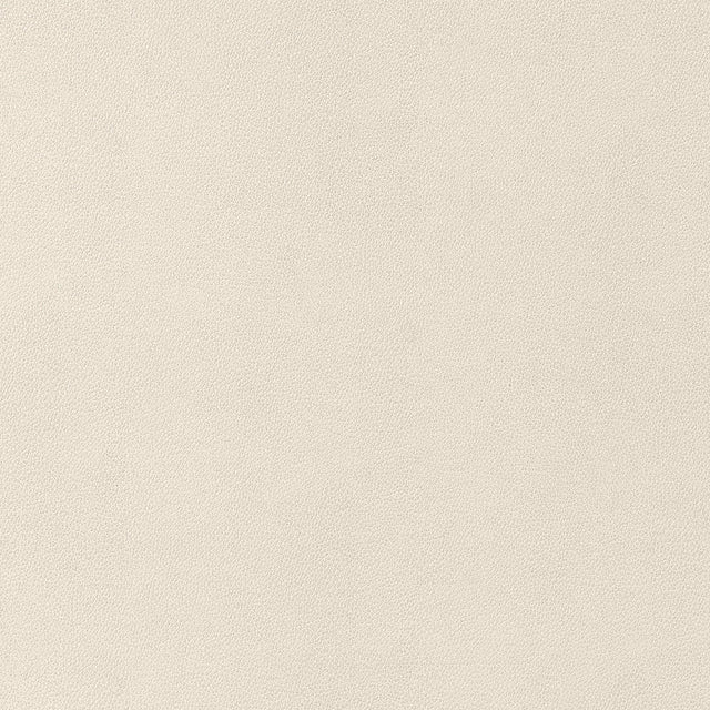 Thibaut Gaucho Ecru Fabric
