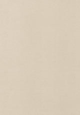 Thibaut Gaucho Flax Fabric