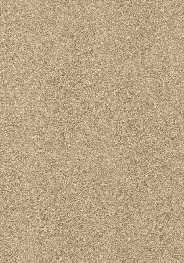 Thibaut Gaucho Fawn Fabric