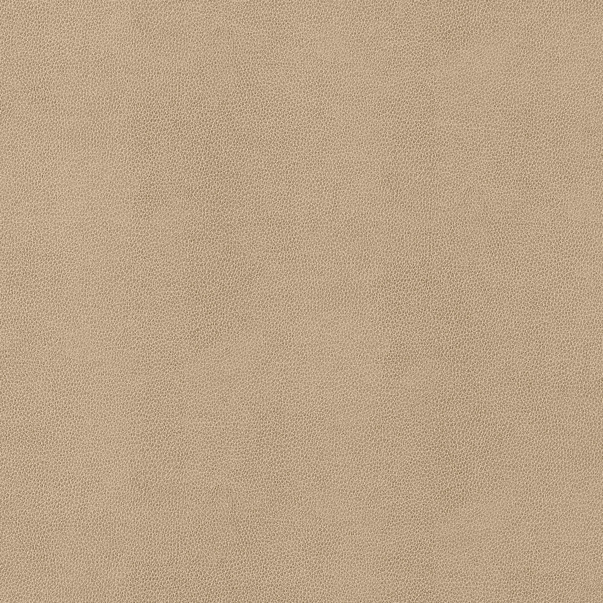 Thibaut Gaucho Fawn Fabric