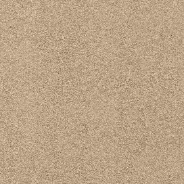 Thibaut Gaucho Fawn Fabric