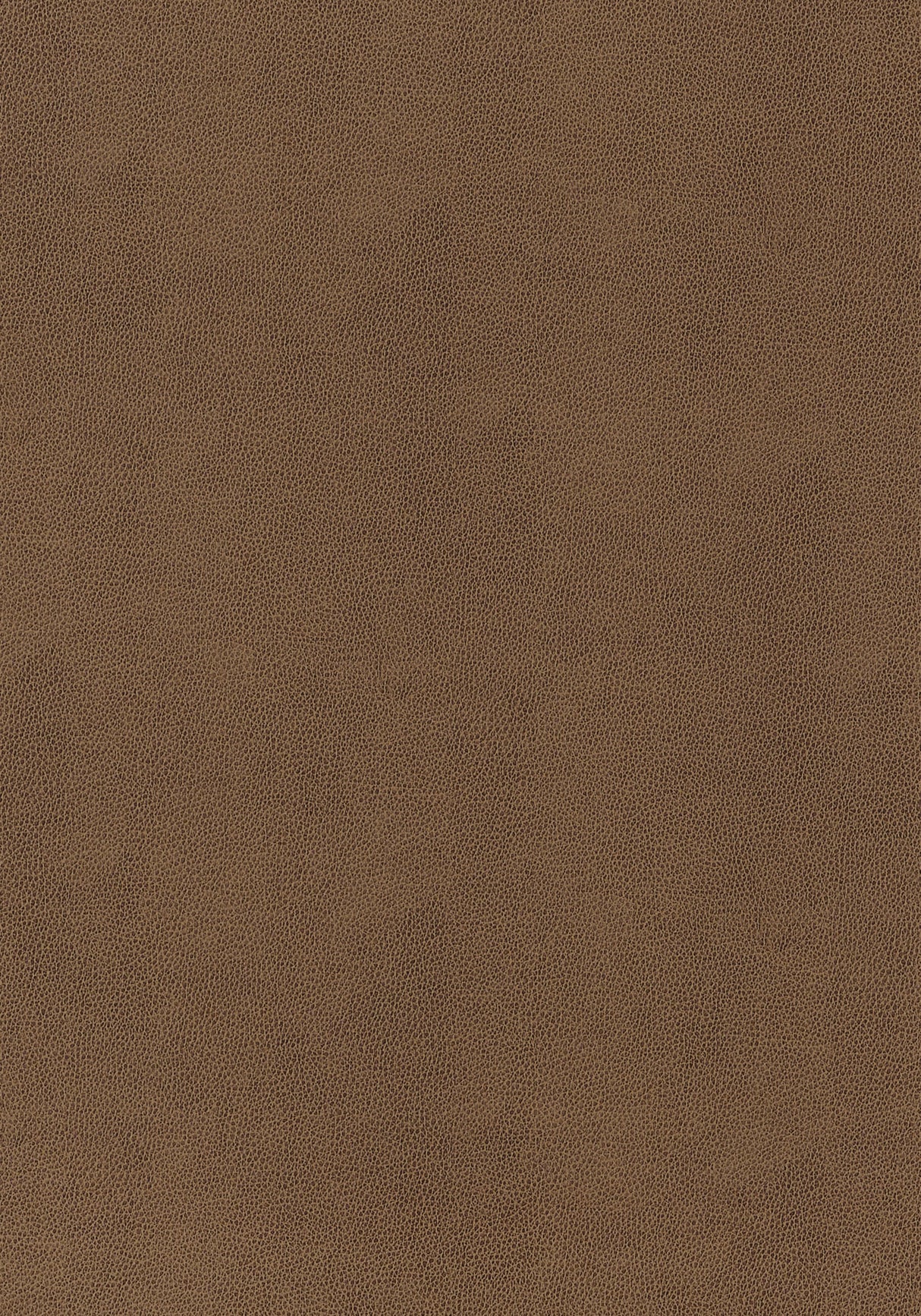 Thibaut Gaucho Chestnut Fabric