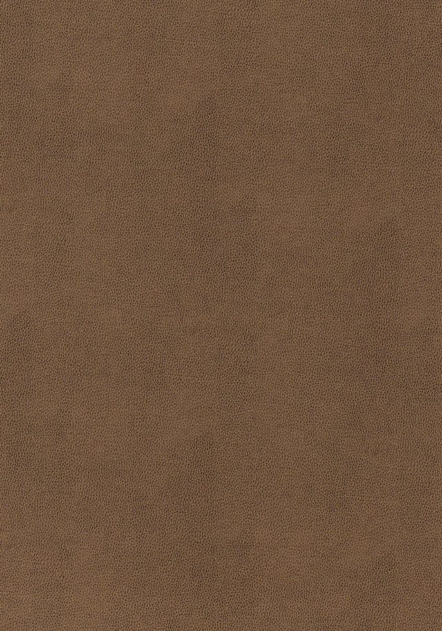 Thibaut Gaucho Chestnut Fabric