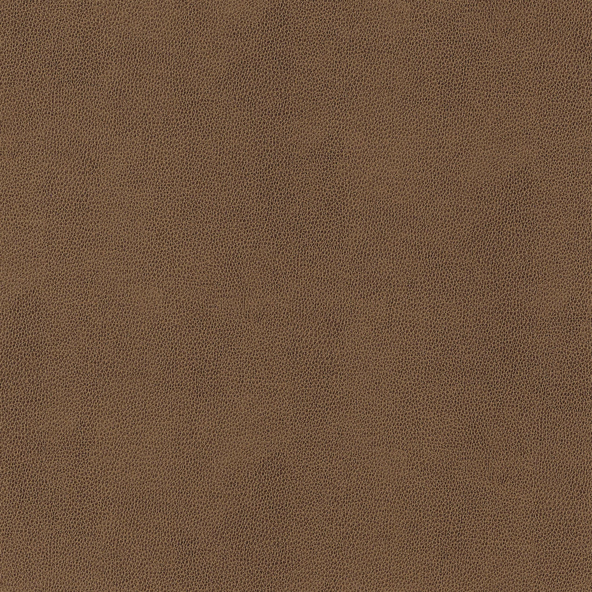 Thibaut Gaucho Chestnut Fabric