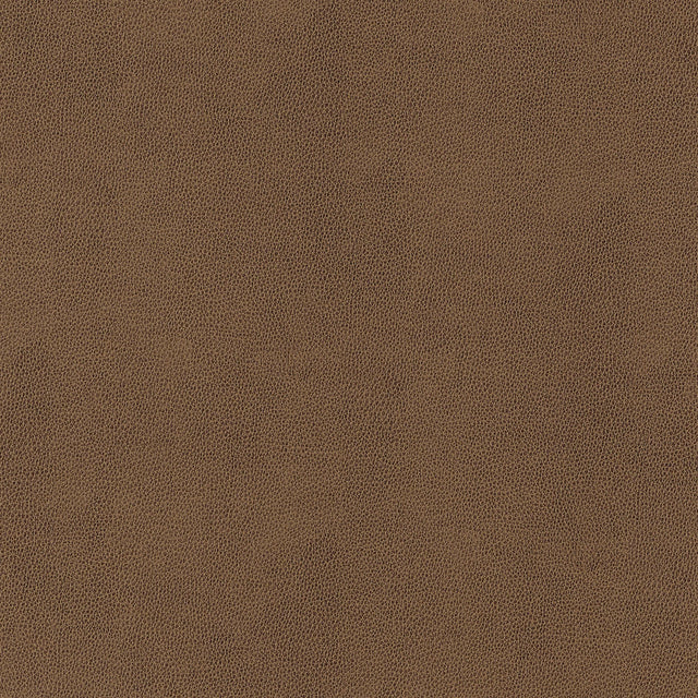 Thibaut Gaucho Chestnut Fabric