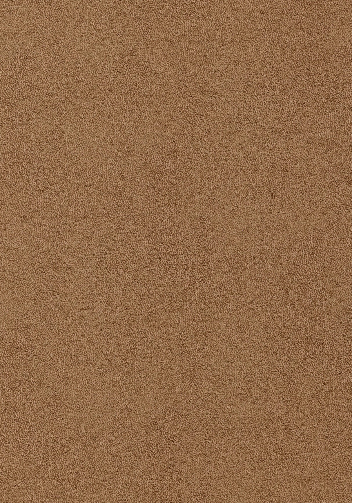 Thibaut Gaucho Cedar Fabric