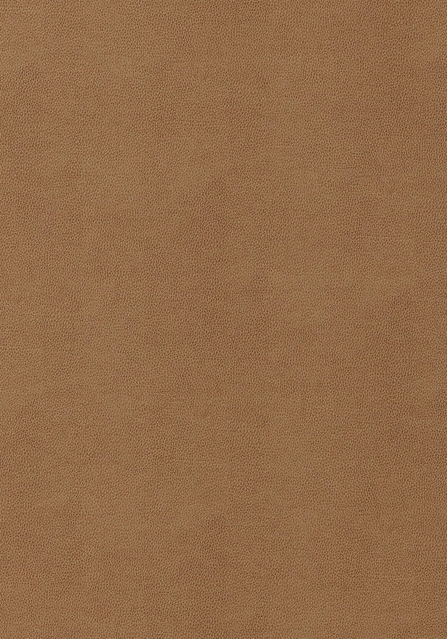 Thibaut Gaucho Cedar Fabric