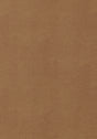 Thibaut Gaucho Cedar Fabric