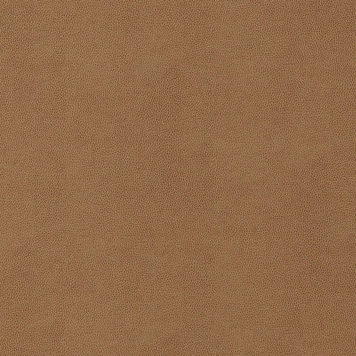 Thibaut Gaucho Cedar Fabric