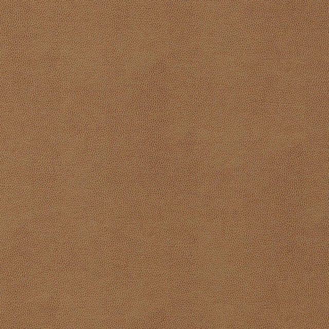 Thibaut Gaucho Cedar Fabric