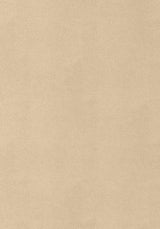 Thibaut Gaucho Suede Fabric