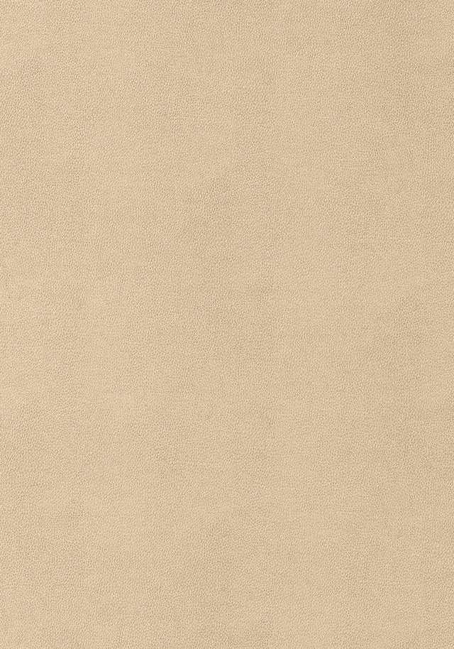 Thibaut Gaucho Suede Fabric