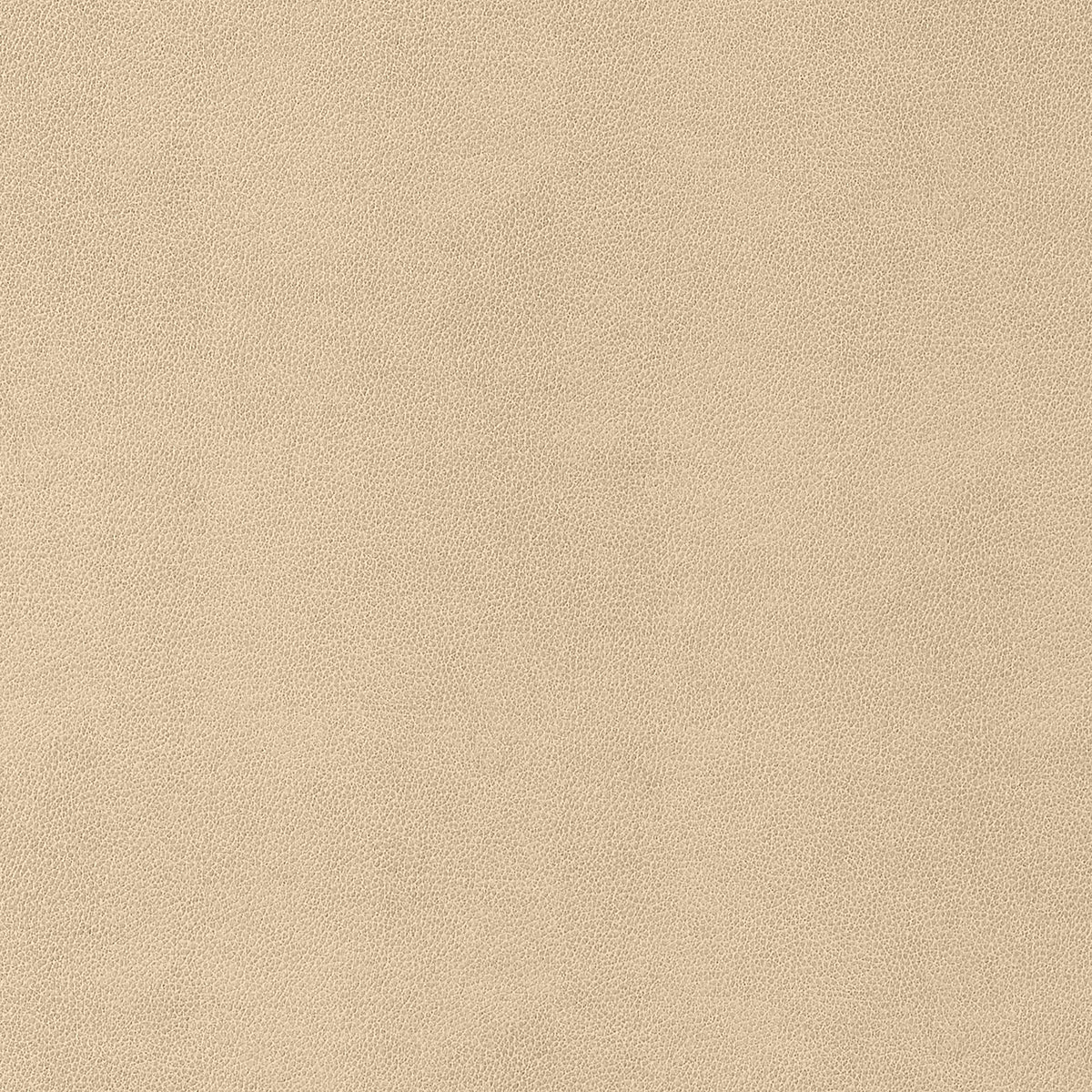 Thibaut Gaucho Suede Fabric