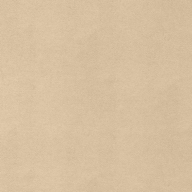 Thibaut Gaucho Suede Fabric