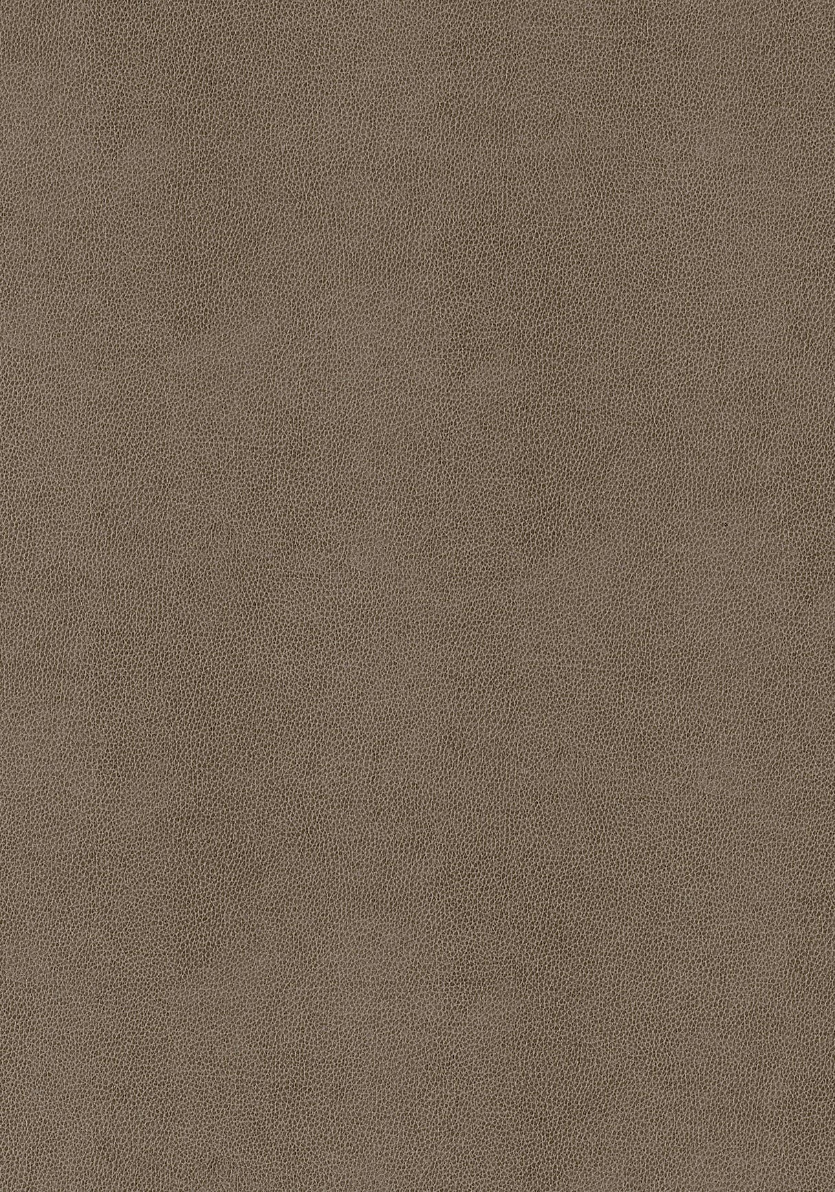 Thibaut Gaucho Elk Fabric