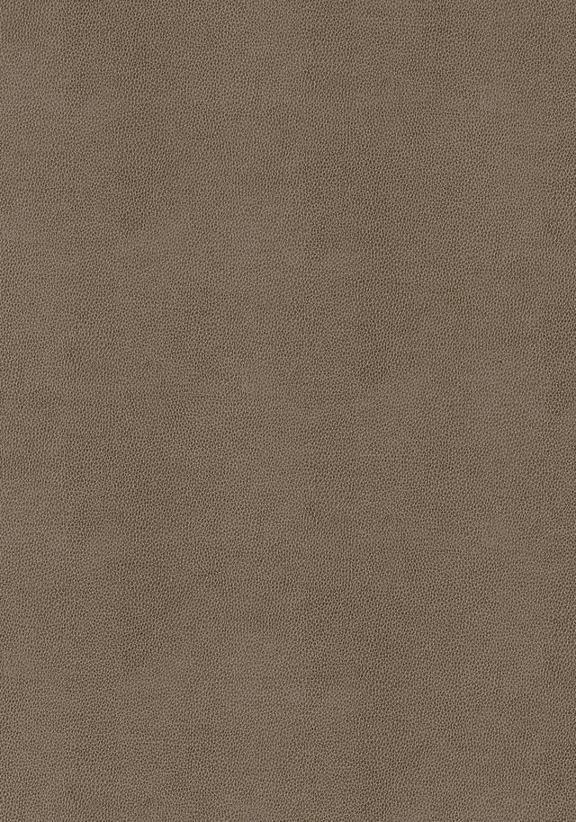 Thibaut Gaucho Elk Fabric