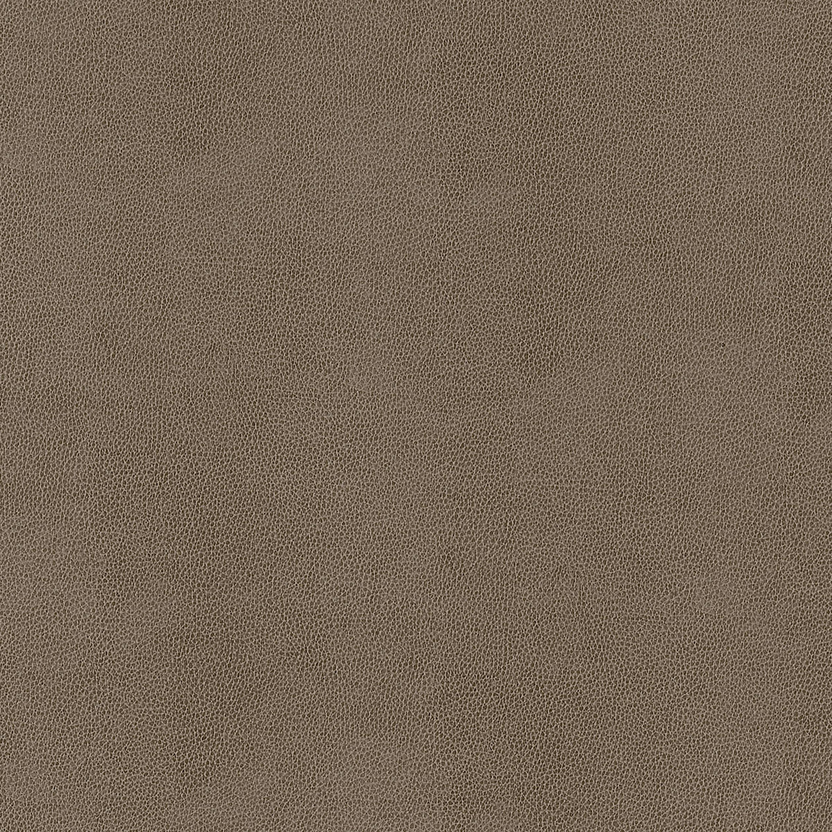 Thibaut Gaucho Elk Fabric