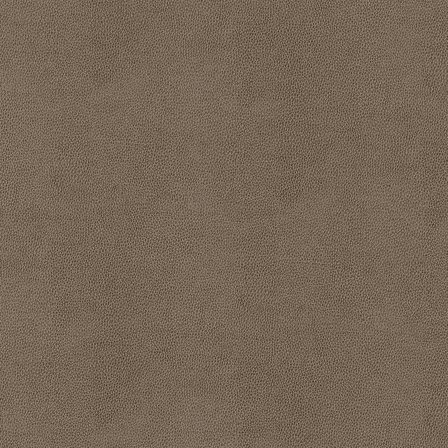 Thibaut Gaucho Elk Fabric