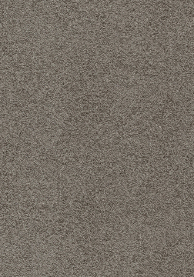 Thibaut Gaucho Granite Fabric