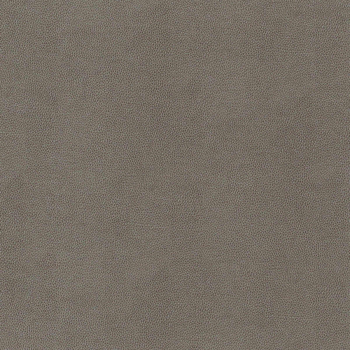 Thibaut Gaucho Granite Fabric