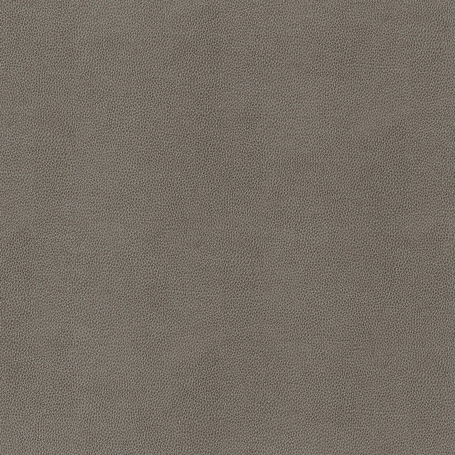 Thibaut Gaucho Granite Fabric