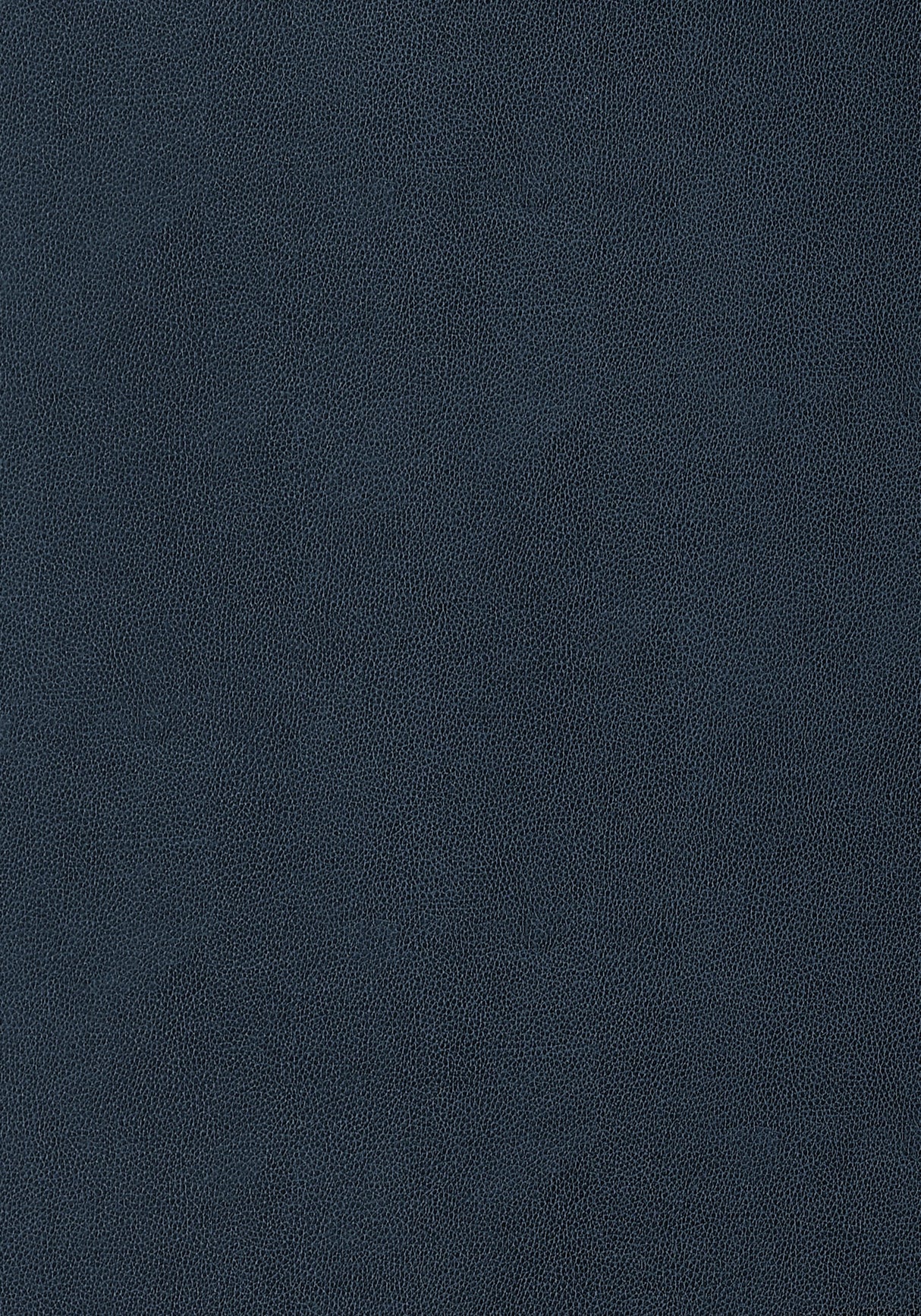 Thibaut Gaucho Midnight Fabric