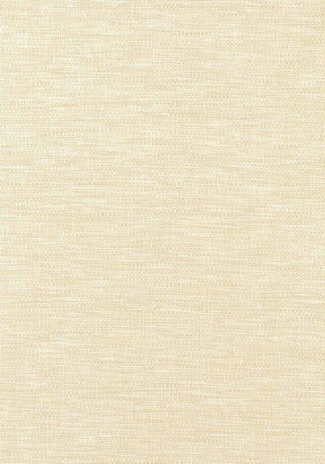 Thibaut Kaden Parchment Fabric