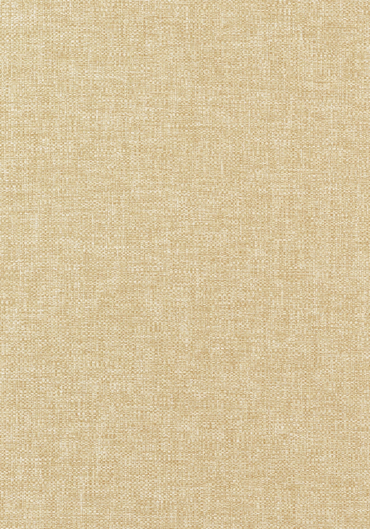 Thibaut Kaden Straw Fabric