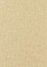 Thibaut Kaden Straw Fabric