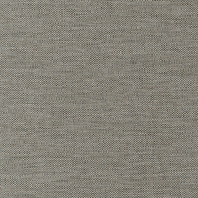 Thibaut Kaden Ebony Fabric
